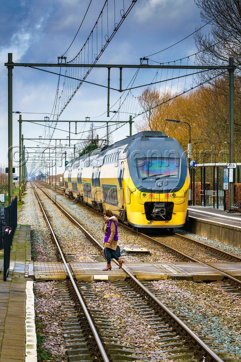 4601093007.jpg