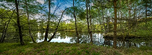 4413663847 Panorama.jpg