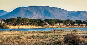 Ruaha-National-Park-01.jpg