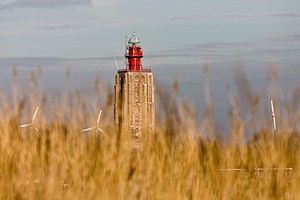 3800919964.jpg