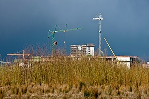 3801917251.jpg