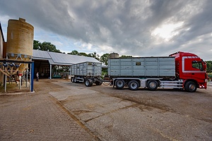 4601876383.jpg