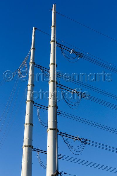 4203732141.jpg